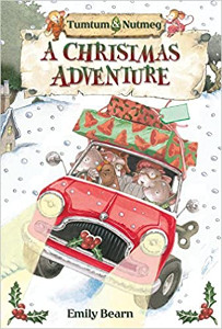 A Christmas Adventure