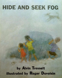 Hide and Seek Fog