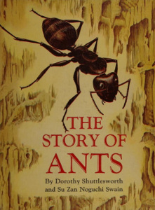 The Story of Ants