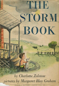 The Storm Book