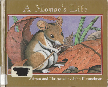 A Mouse's Life