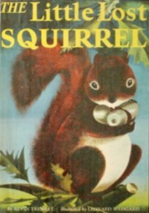 Little Lost Squirrel