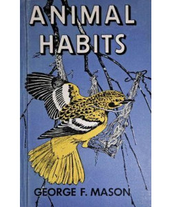 Animal Habits