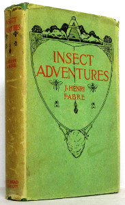 Insect Adventures