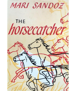 The Horsecatcher