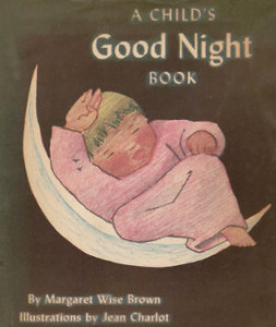 A Child's Good Night Book