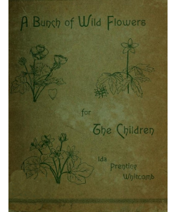 A Bunch of Wild Flowers for the Children