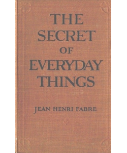 The Secret of Everyday Things