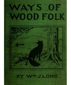 Ways of Wood Folk