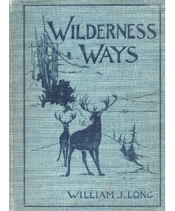 Wilderness Ways