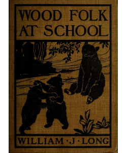 Wood Folk at School