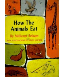 How The Animals Eat