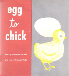 Egg to Chick