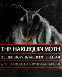 The Harlequin Moth: Its Life Story