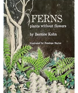 Ferns: Plants Without Flowers