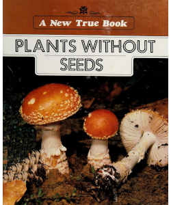 Plants Without Seeds