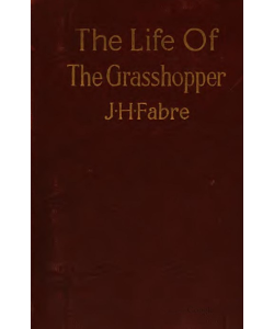 The Life of the Grasshopper