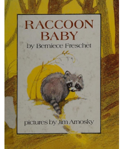 Raccoon Baby