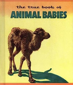 The True Book of Animal Babies