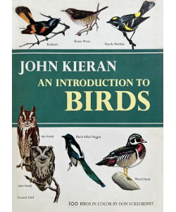 An Introduction to Birds