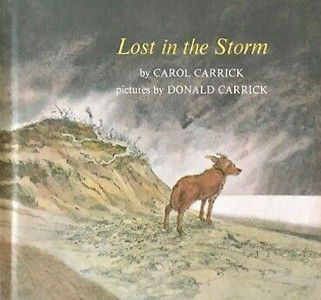 Lost in the Storm