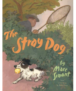 The Stray Dog