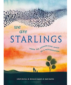 We Are Starlings: Inside the Mesmerizing Magic of a Murmuration