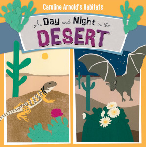 A Day and Night in the Desert