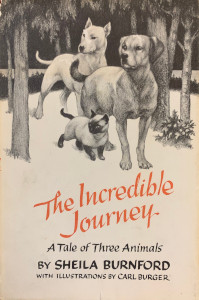 The Incredible Journey: A Tale of Three Animals