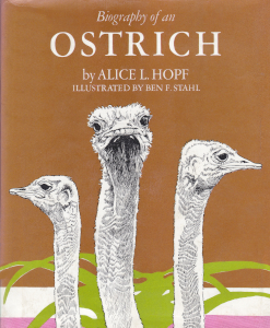 Biography of an Ostrich