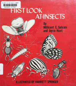 A First Look at Insects