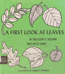 A First Look at Leaves