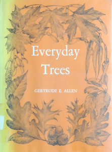 Everyday Trees