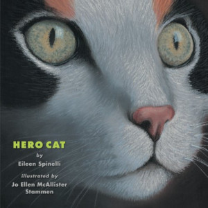 Hero Cat