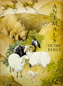 Animals of the Bible