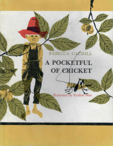 A Pocketful of Cricket