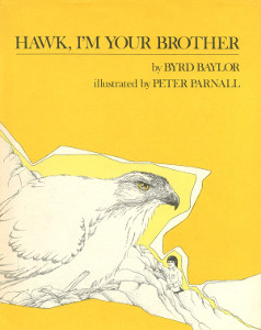 Hawk, I'm Your Brother