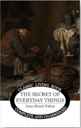 The Secret of Everyday Things