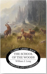 The School of the Woods