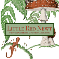 Little Red Newt