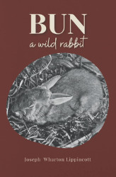 Bun: A Wild Rabbit Reprint